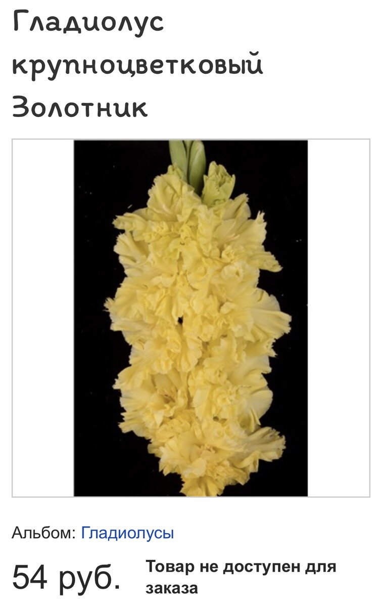 Для примера, в интернет - магазинах стоимость упаковки сорта Золотник ( 5 шт) 657руб. Получается луковица стоит 131 руб 04 коп. А в совместной закупке 1 луковица обошлась мне в 62 рубля