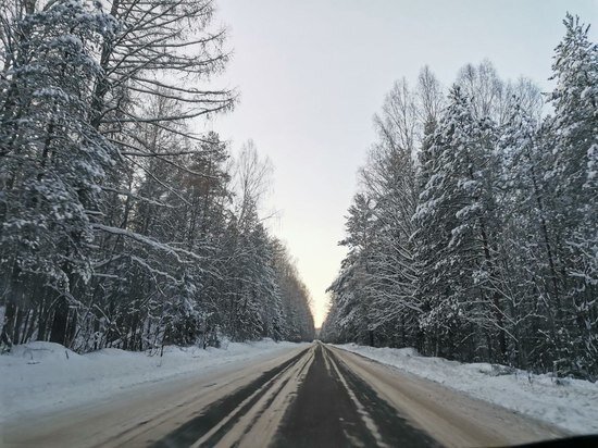     Фото: МК в Туле