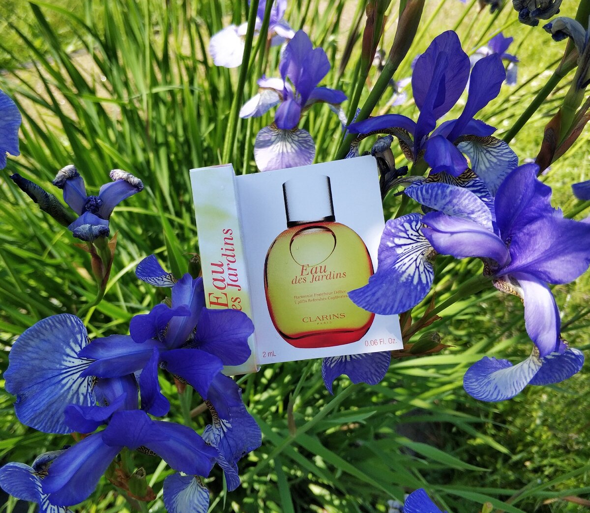 Подборка цитрусовых ароматов на лето. Clarins Eau des Jardins.