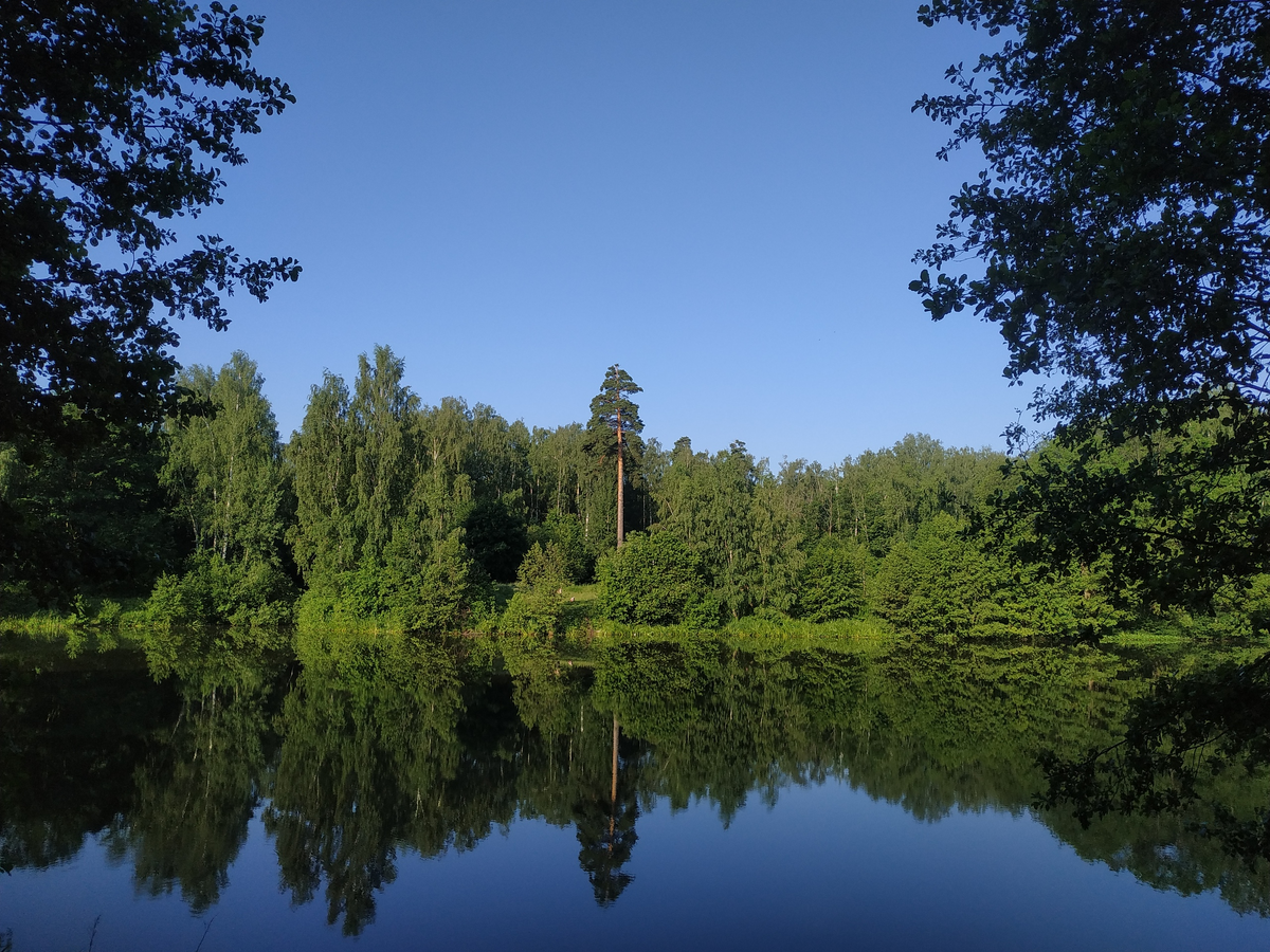 Подмосковные красоты