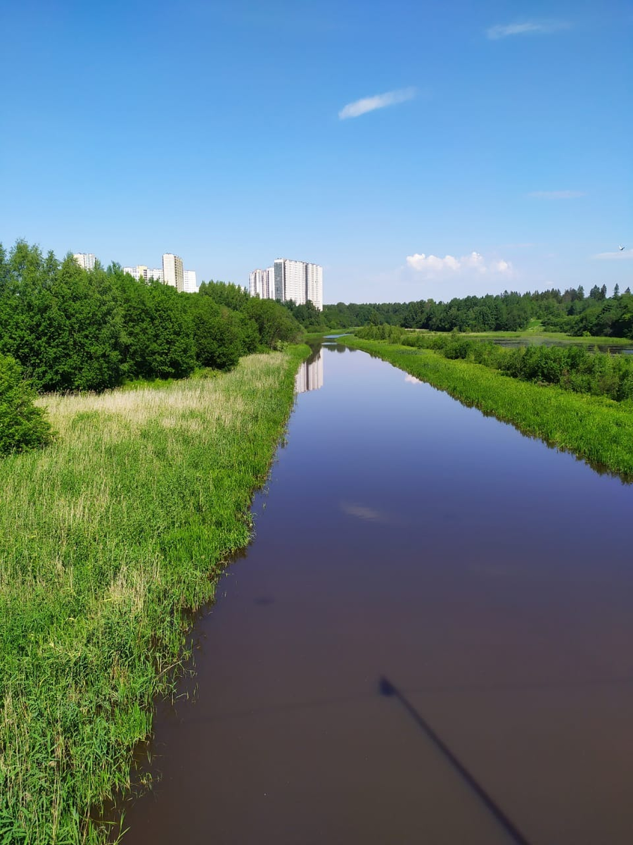 Река охта санкт петербург. Красногвардейский район река Охта. Река Охта в Мурино. Речка Охта в СПБ. Охта - загрязнённая река Красногвардейский район.