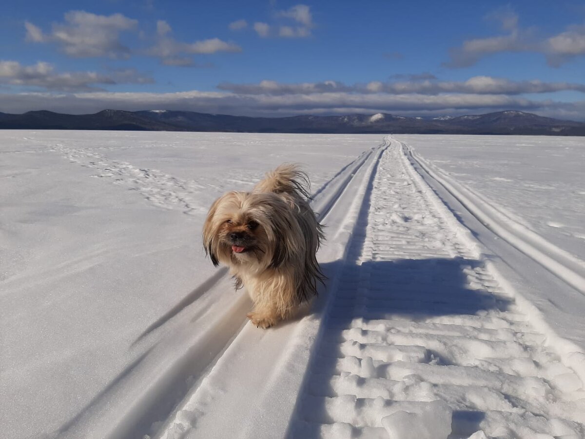 И в жару и в стужу-мы покоряем наши километры вместе!
