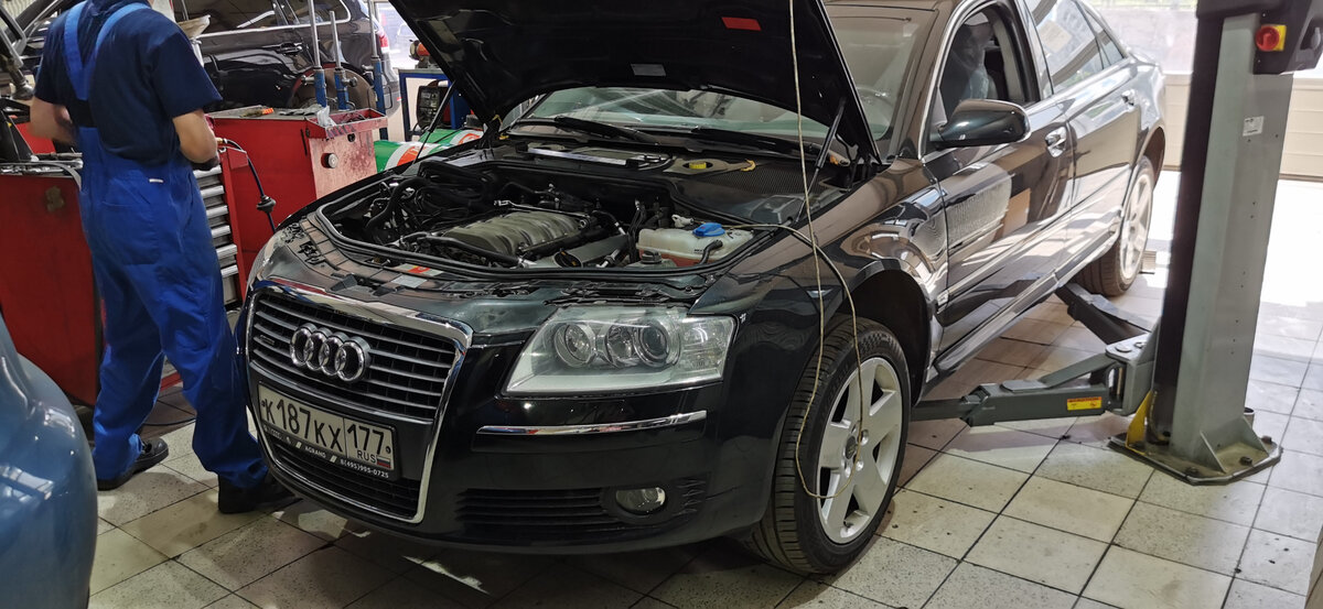 Авоська снова в ремонте