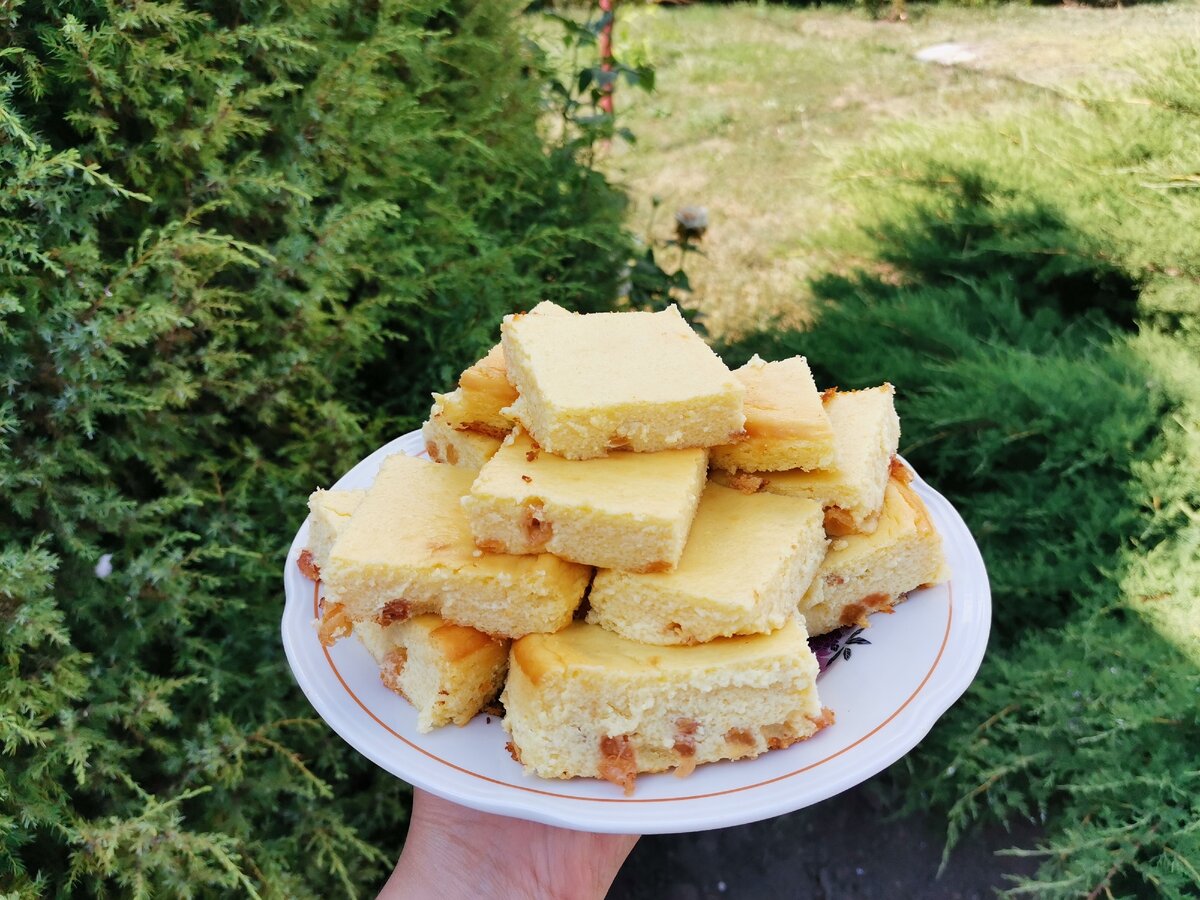 Ленивая творожная запеканка. Быстро и вкусно. | CakeAM | Дзен