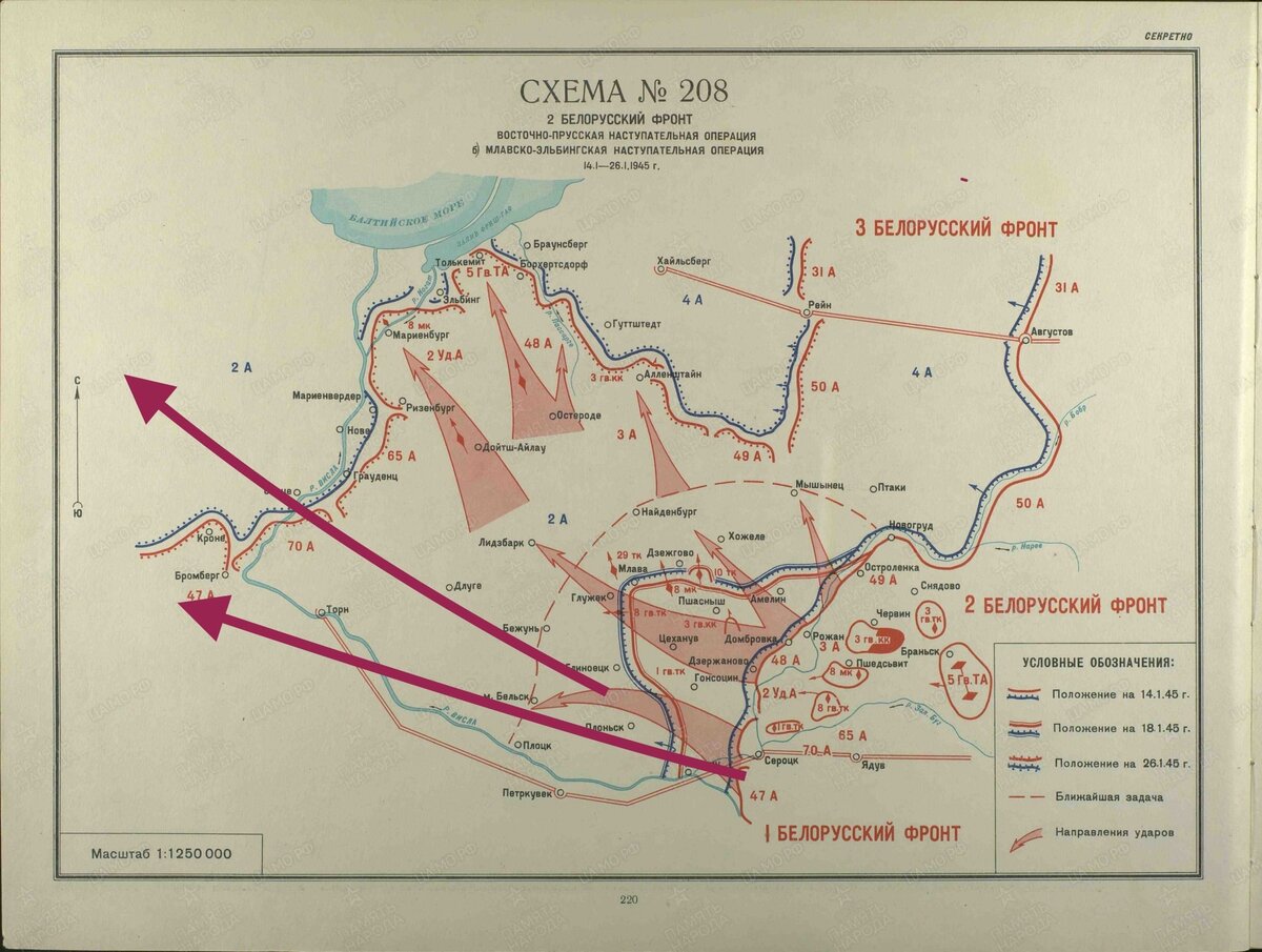 Город Elbing перед ударом в 1945. Что делали простые немцы, пока танки  Рокоссовского приближались к ним? | Лукинский I История | Дзен