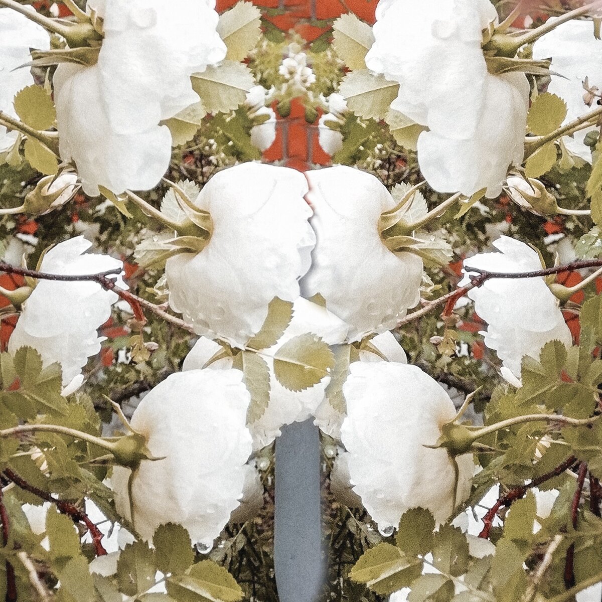 Моё творчество июльское