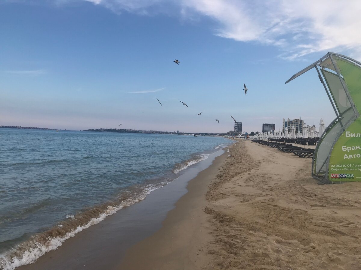 Пляжи нудистов болгария: результаты поиска самых подходящих видео