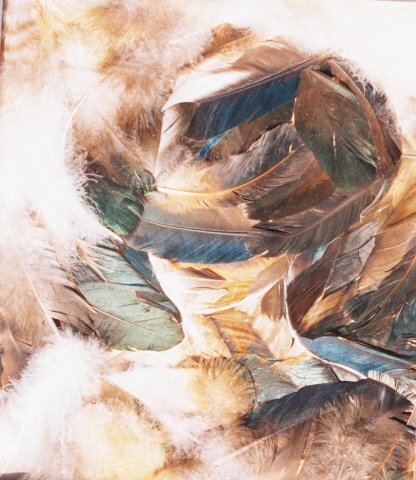 Наталья Бесараб. Дама в шляпе.