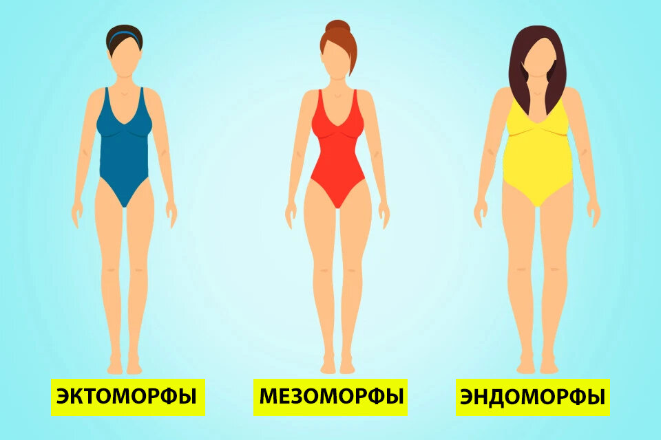 Типы телосложения. Соотношение роста и веса
