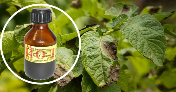 фото-использовано для иллюстрации.Источник:Яндекс.Картинки