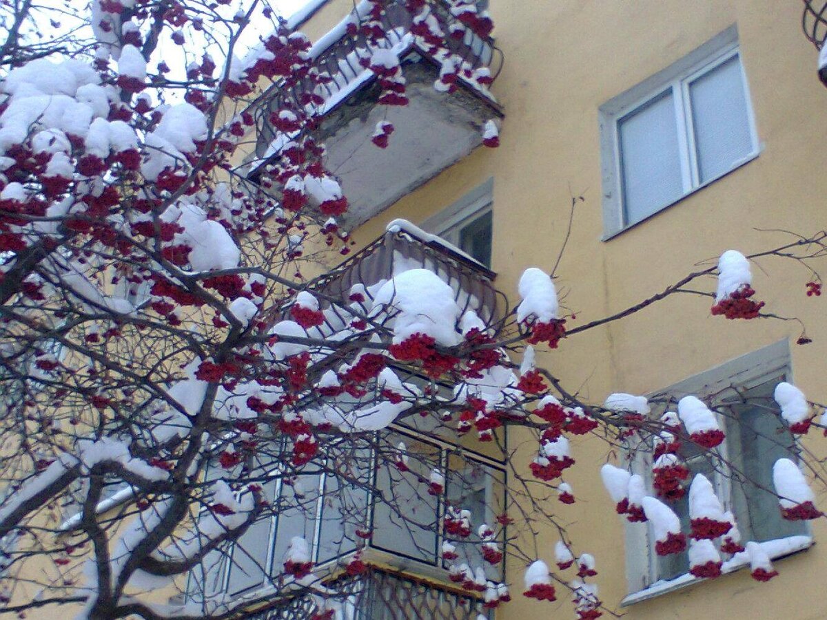 Фото из архива Милы Мельниковой, она наш друг и замечательный журналист.