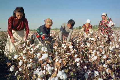 Процесс сбора