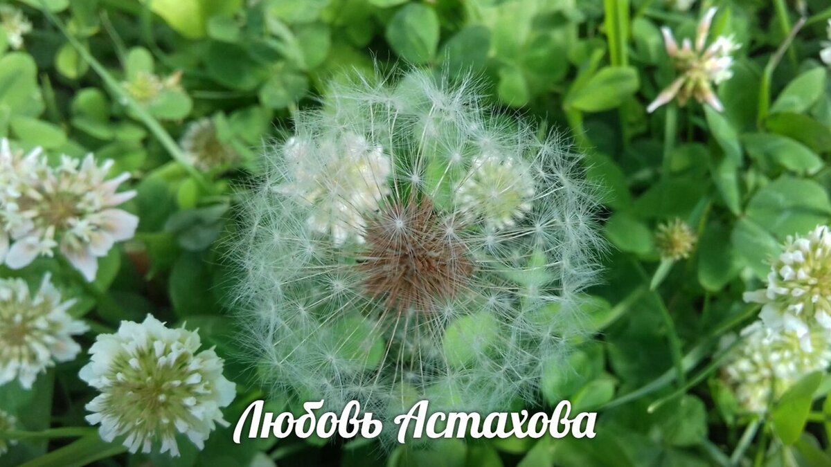 На земле всё прекрасно и всё находится на своём месте, стоит только это осознать, как обстоятельства перестают предлагать условия для борьбы.