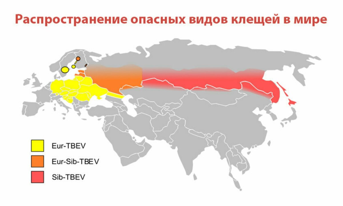 Карта распространения