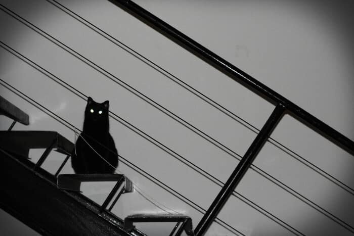 Летом она выезжала с детьми на дачу, где была Гэри, зимой возвращалась к Маруське