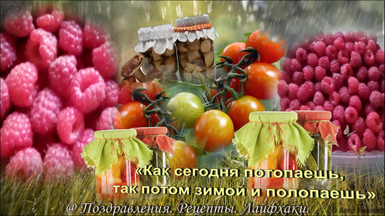 все иллюстрации в статье созданы автором канала....