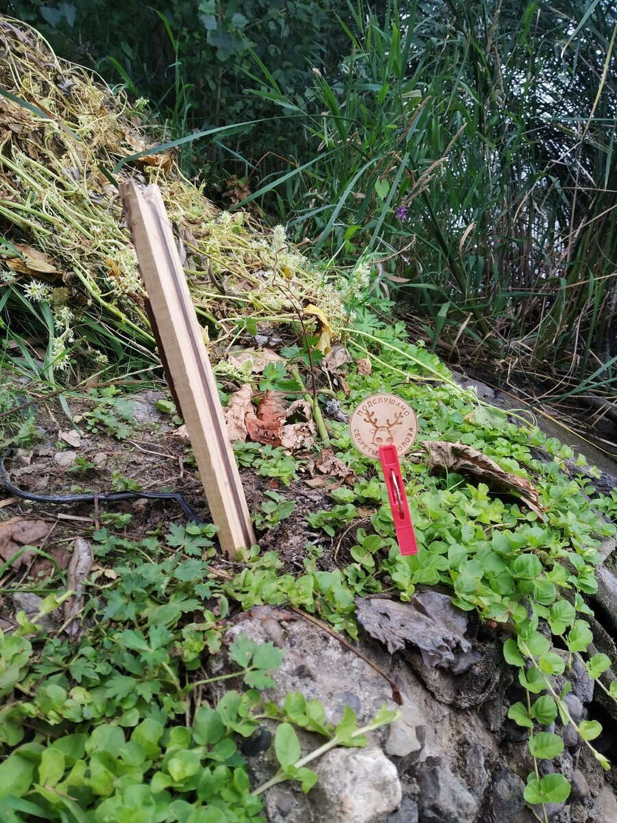 Донка на карася