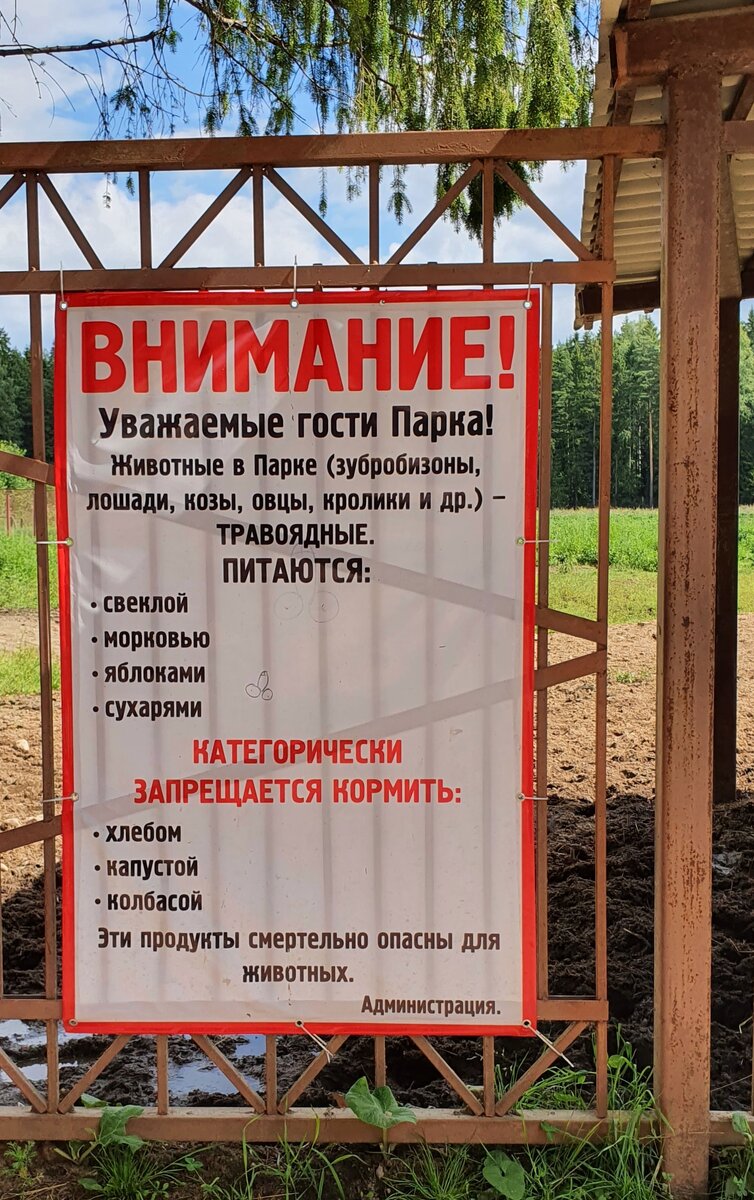 Памятка для посетителей