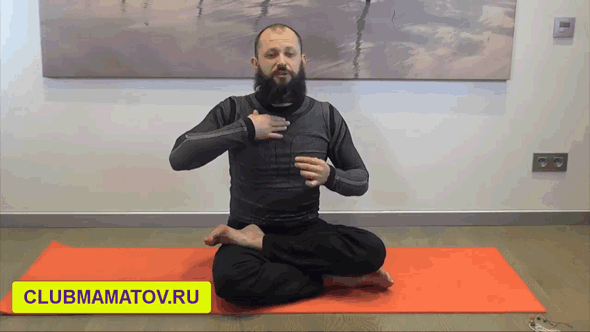 Проекция тимуса (вилочковой железы)