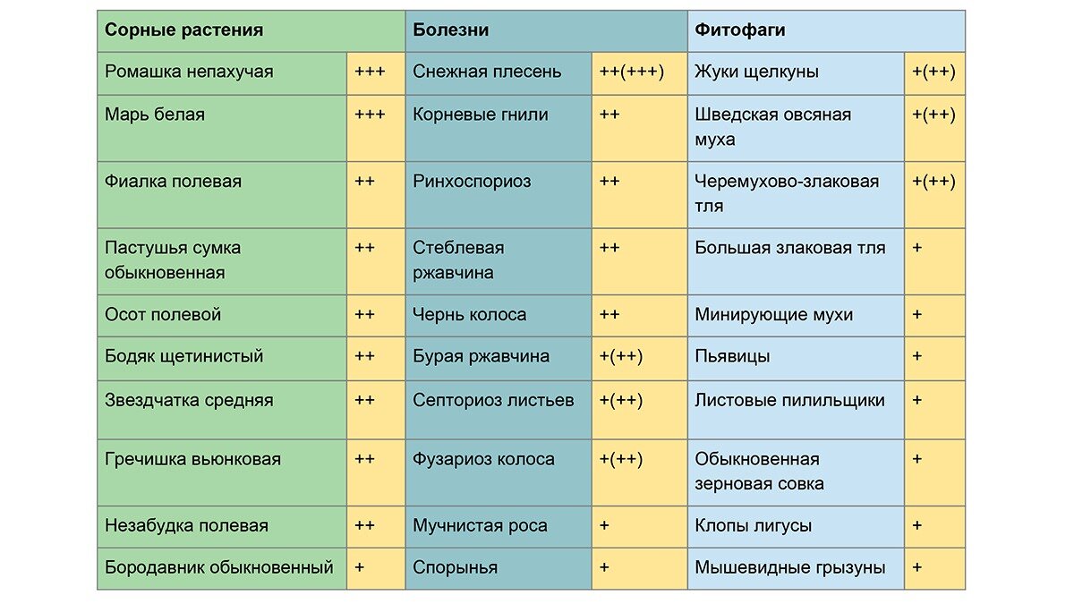 + — низкая численность и слабое развитие, ++ — средняя численность и умеренное развитие, +++ — высокая численность и сильное развитие. 