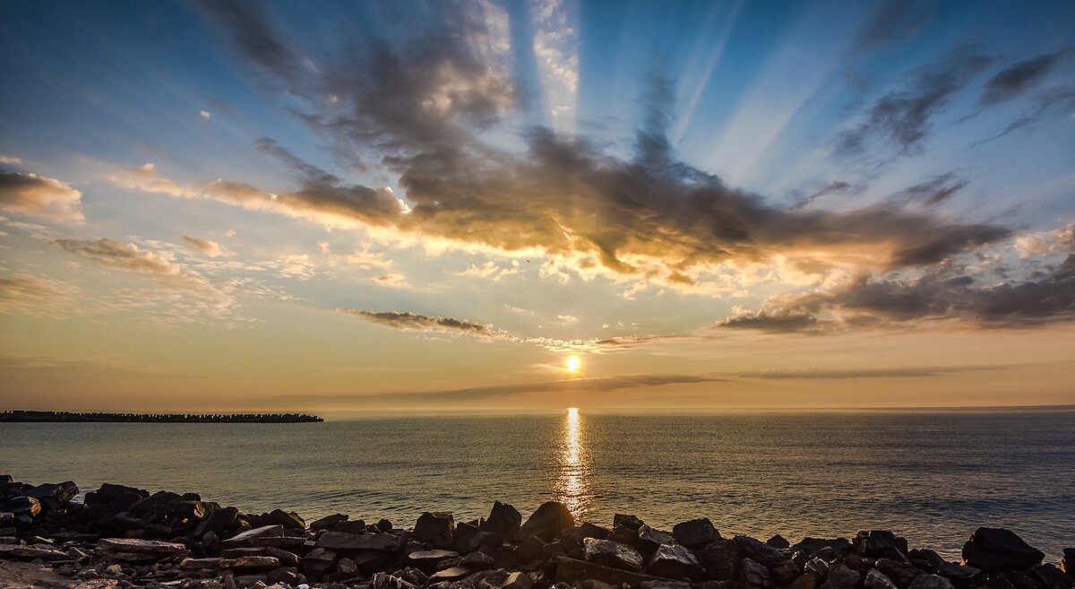 Изображение Christo Anestev с сайта Pixabay 