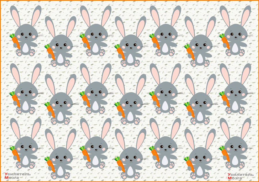 #найди отличие 