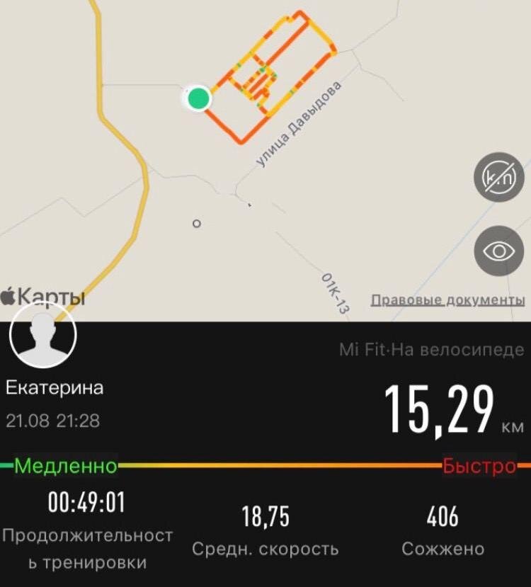 День 11