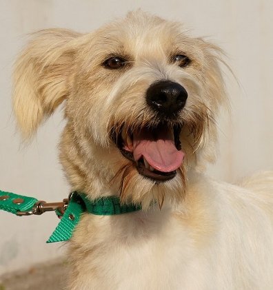 Картинка из сети интернет для иллюстрации