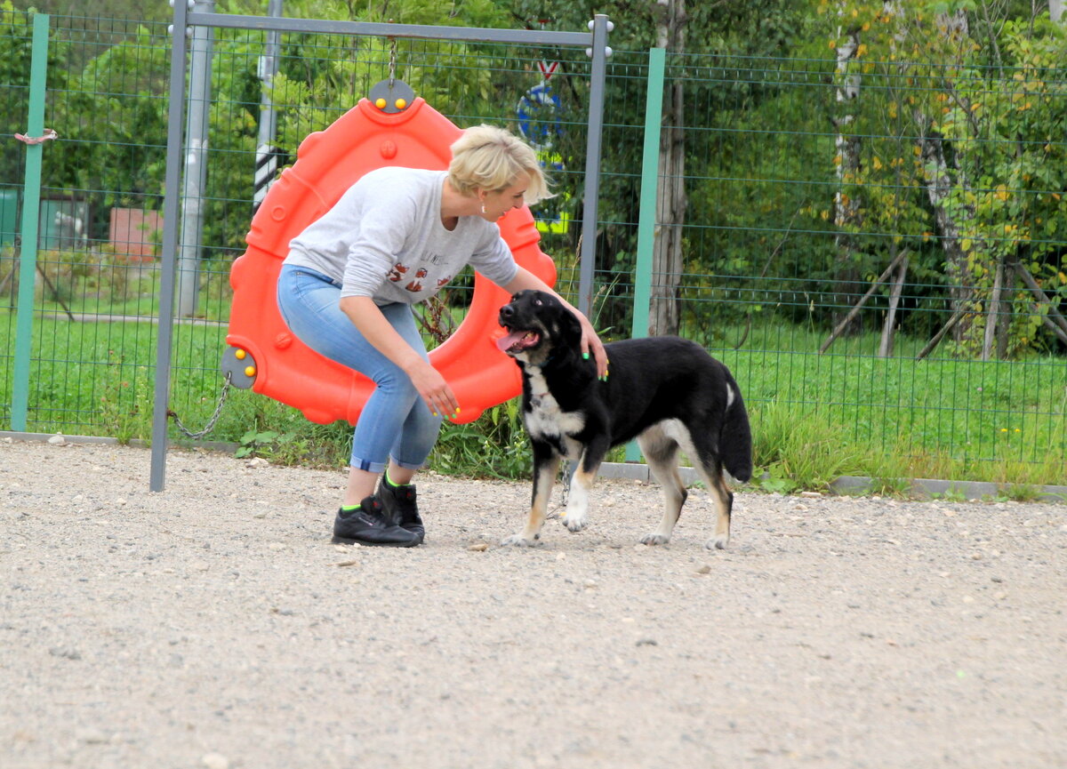 Банда Дворян. Джемма на прогулке в волонтерский день