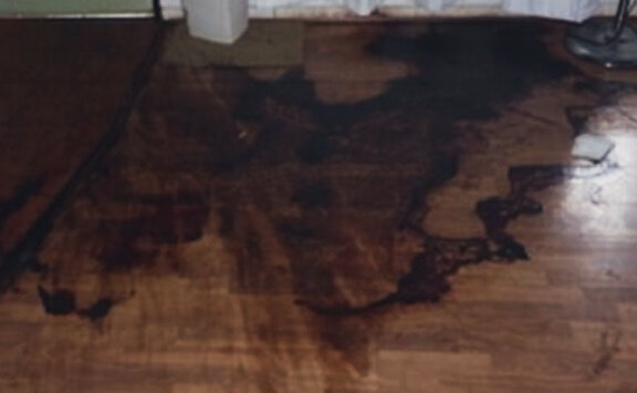 Фотоизображение взято из открытых интернет - источников