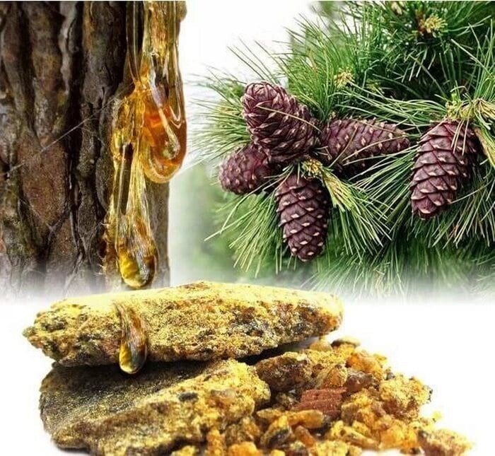 И это живица