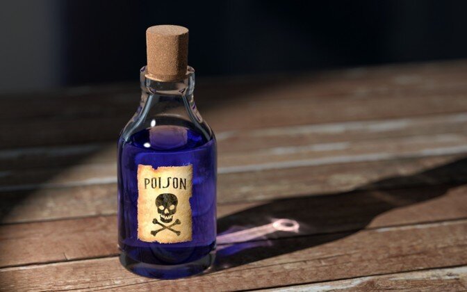 фото из интернета