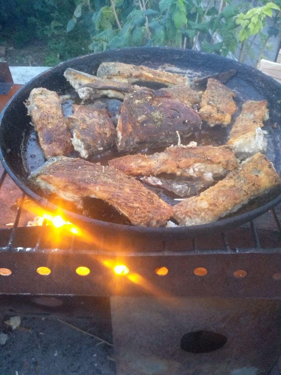 Фото автора. Лещ