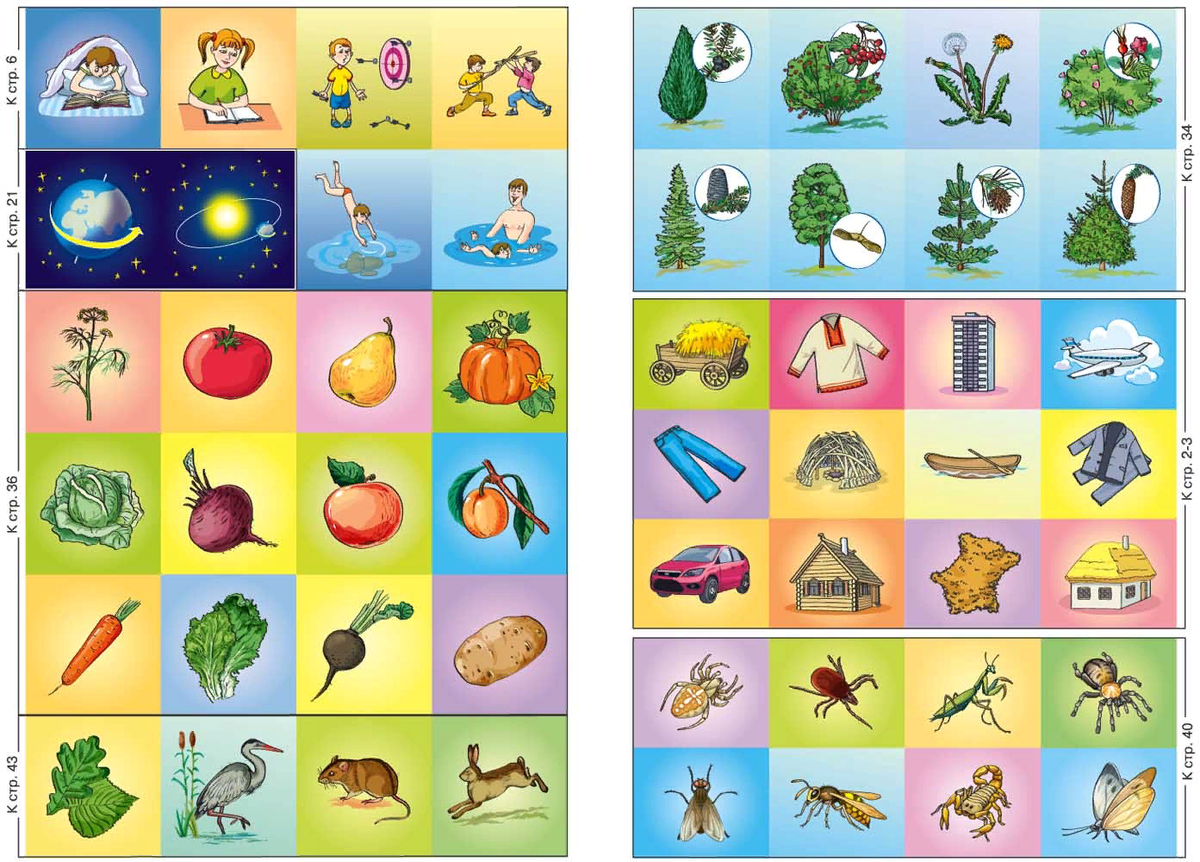 Обобщение карточки 4 класс. Природные и рукотворные предметы. Природный ми мир для дошкольников.