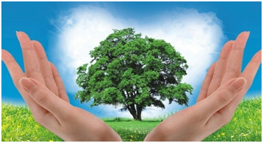 БУДЕМ БЕРЕЧЬ ПРИРОДУ...