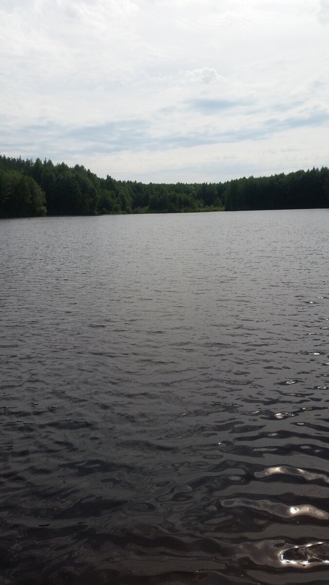 Одно из многих озер встречающихся на Клепиковской земле