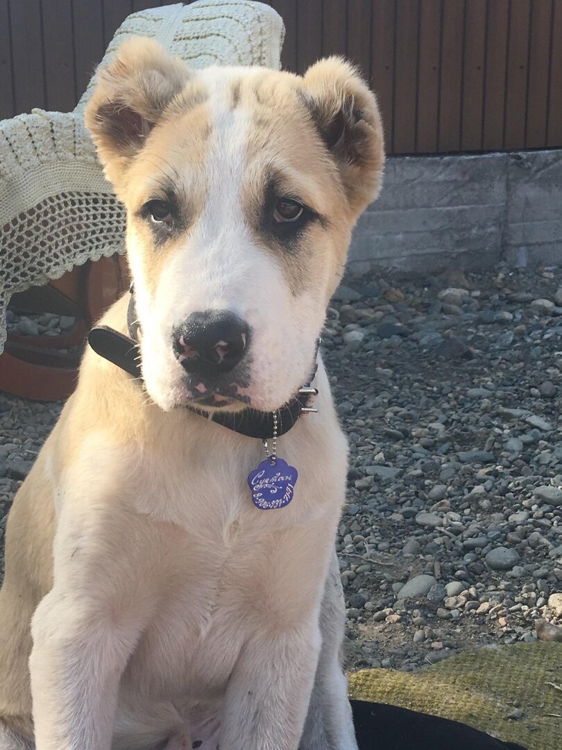 Фото из студии  Майи Бобровой