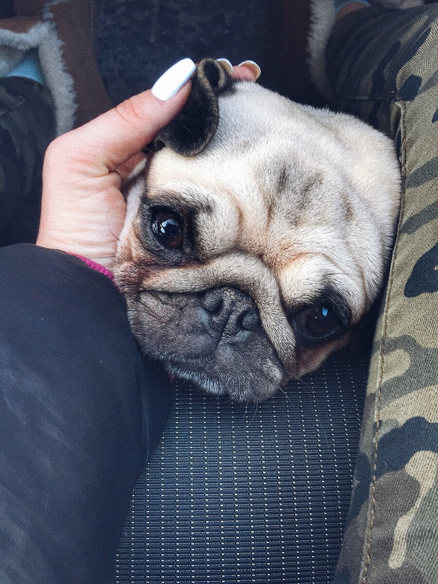 Очень бояться простудных заболеваний.