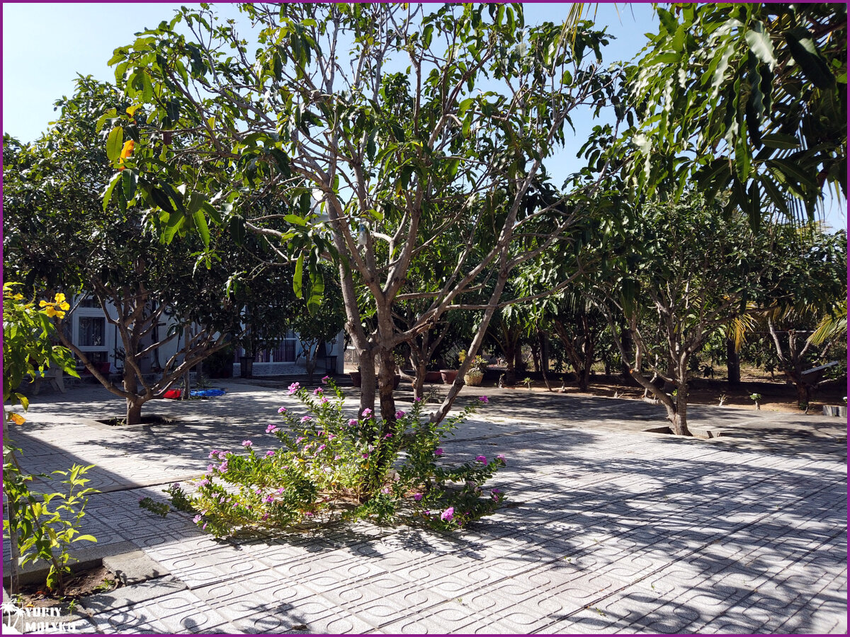 Внутренний двор (фото автора)