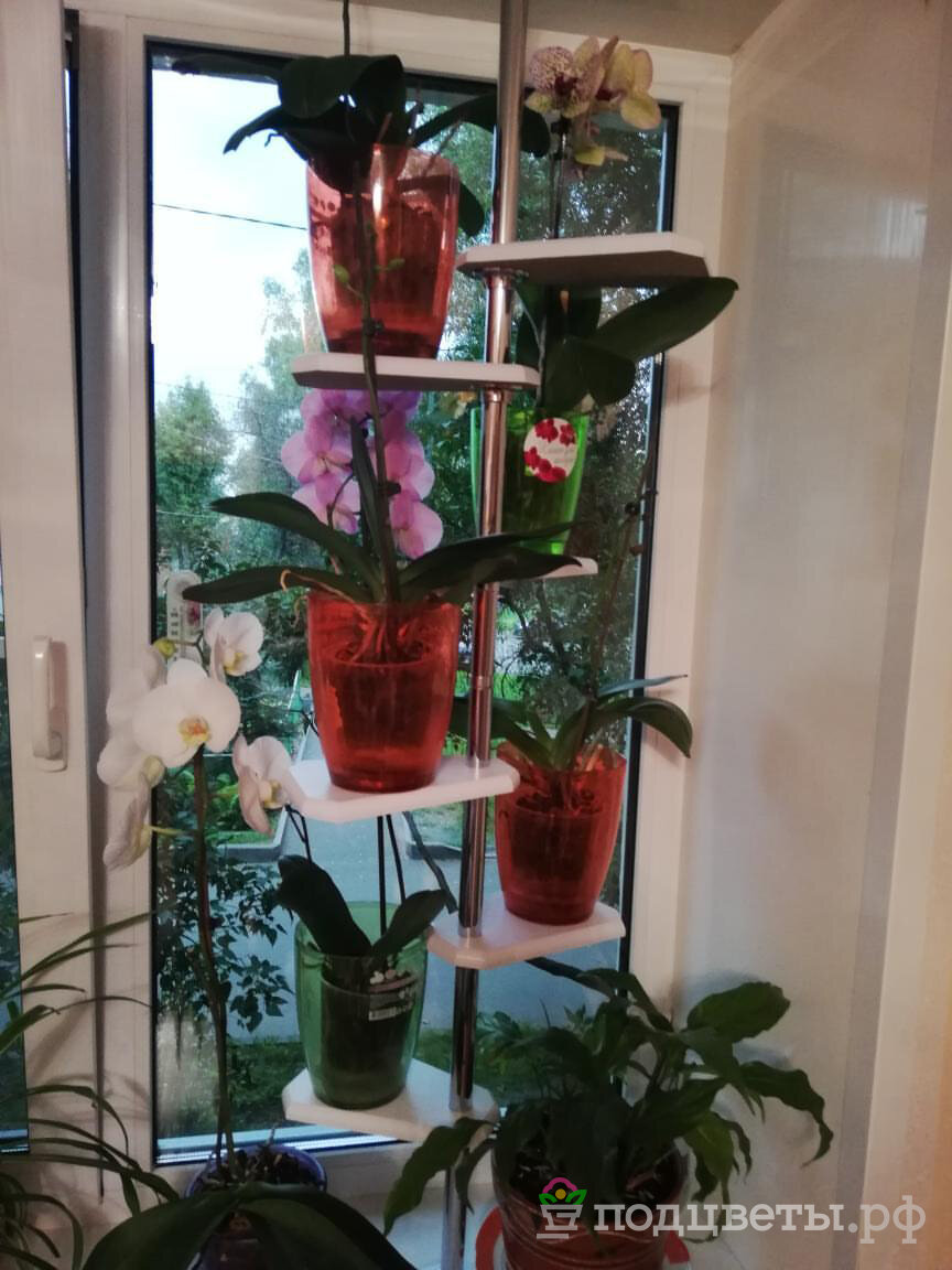 Распорная подставка для цветов Элсея 