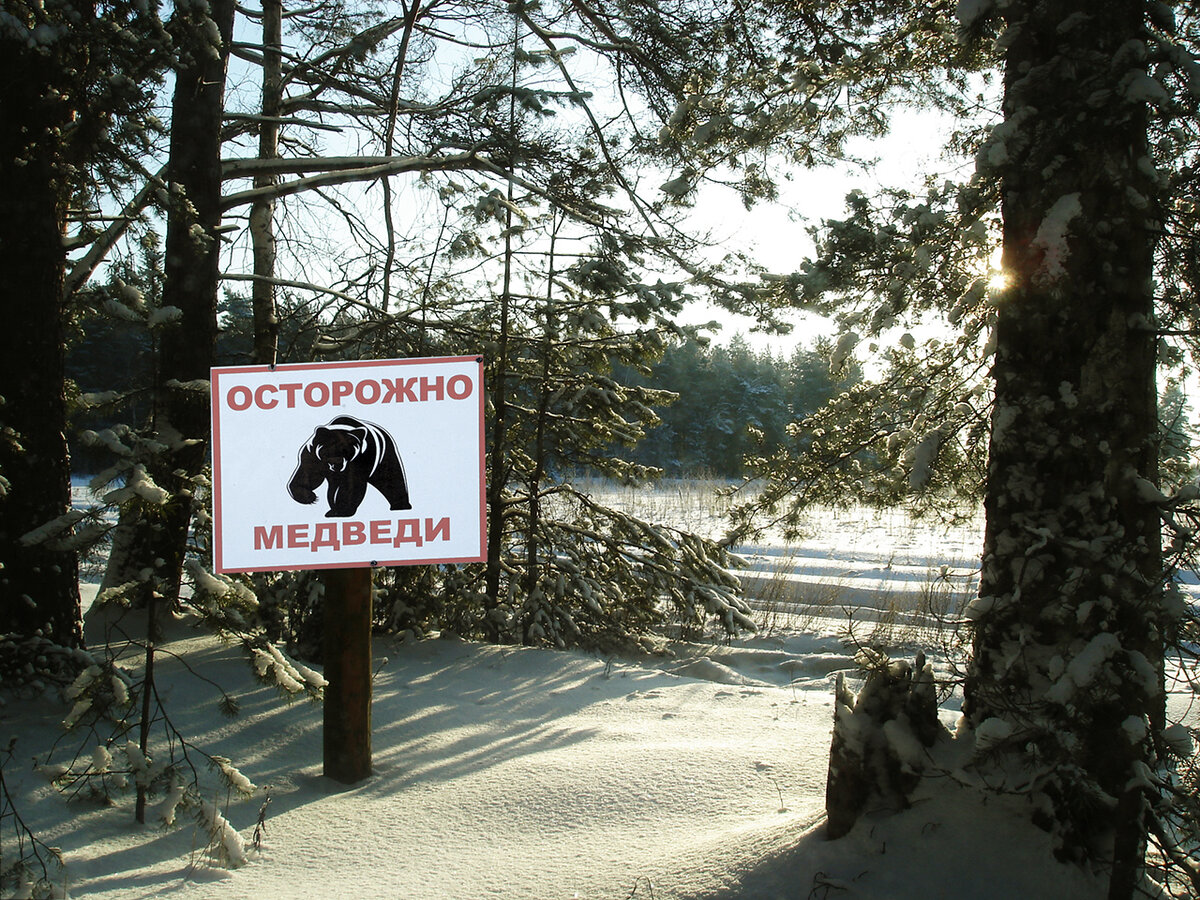 Остается верить, что сказка наша со счастливым концом... ) 