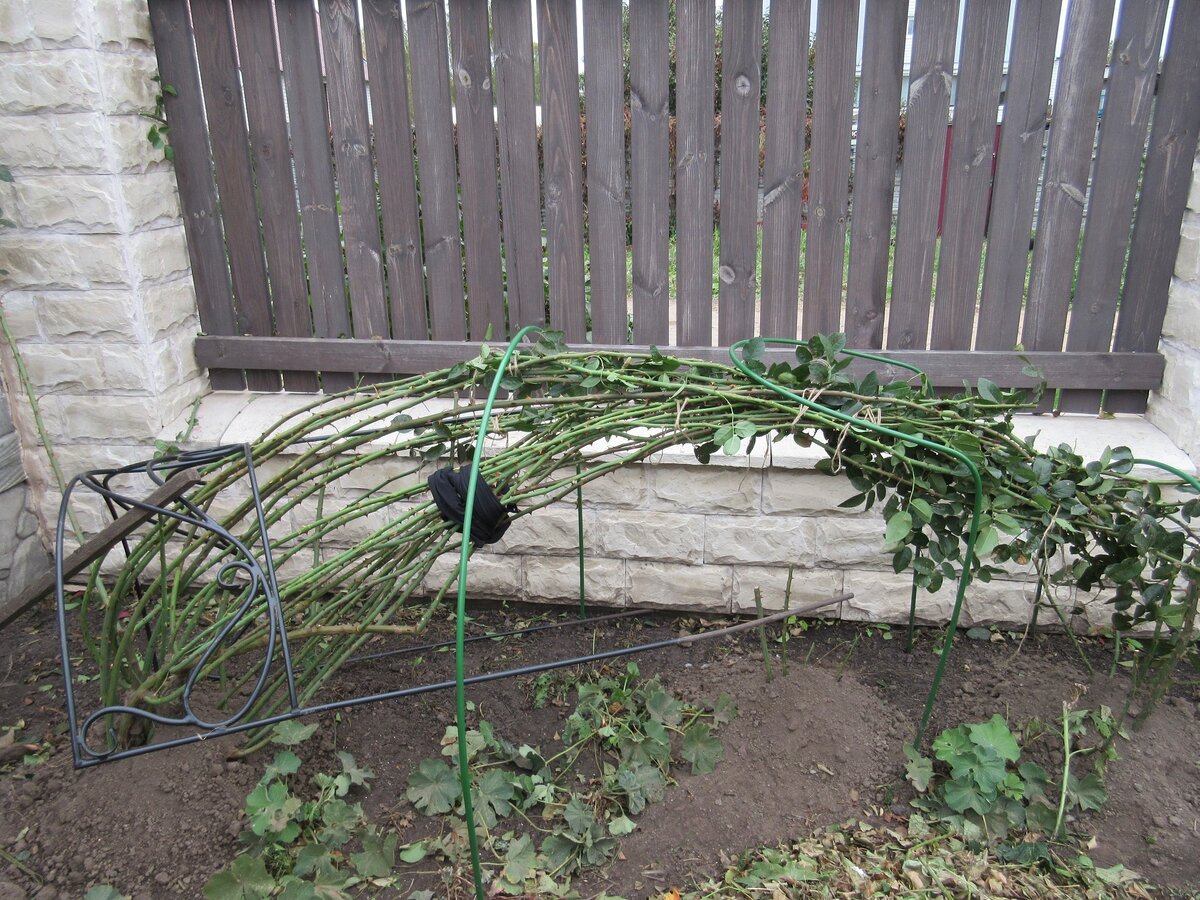 Октябрь 2015г.