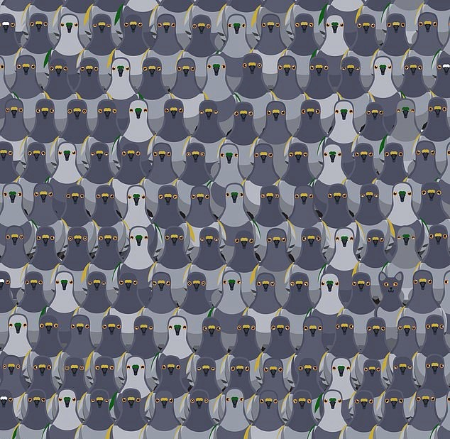 фото из открытых источников