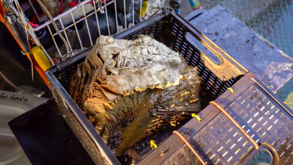 Фото предоставлено ЦПИ РГО