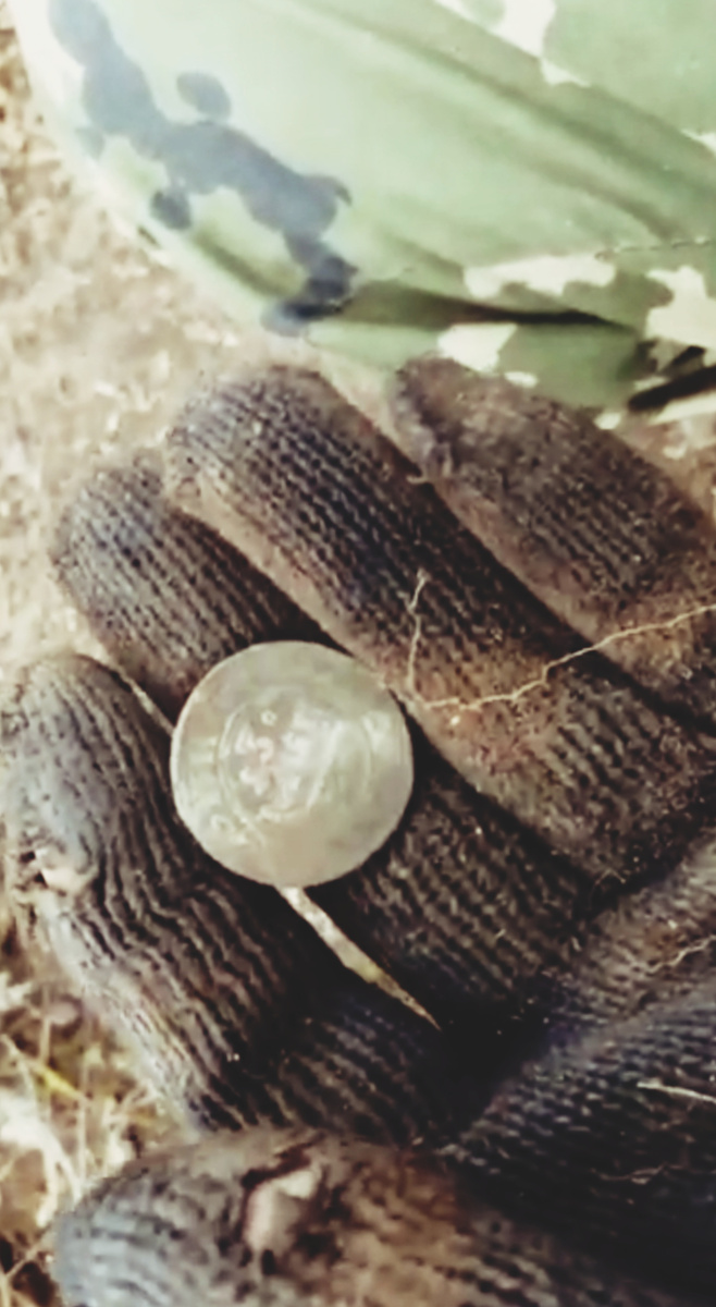 Заветная монета Николая 2