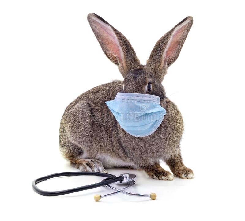 Снимите с меня маску и перестаньте мучить! Я не болен! Я чихаю, потому что просто чихаю!