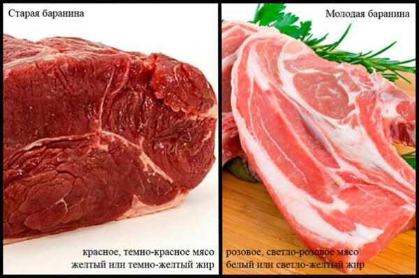 Как отличить мясо. Как отличить говядину. Отличие мяса свинины от говядины. Цвет мяса говядины.