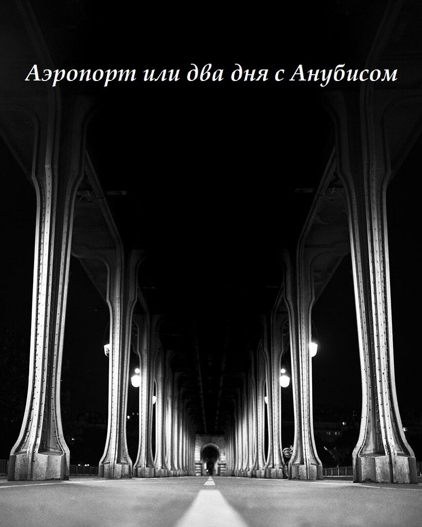 отрывок из романа "Аэропорт или два дня с Анубисом"   Константин Готье