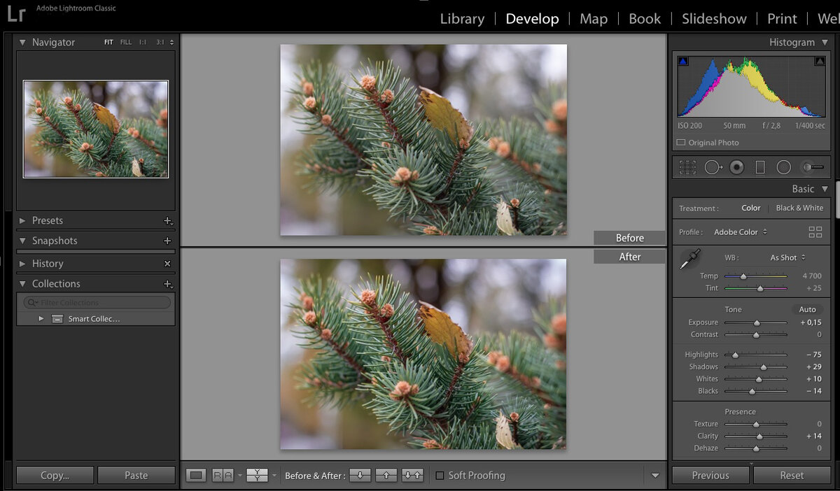лайтрум фото. лайтрум загрузка фото. формат lightroom. библиотека в лайтруме. Vibrance в лайтруме.