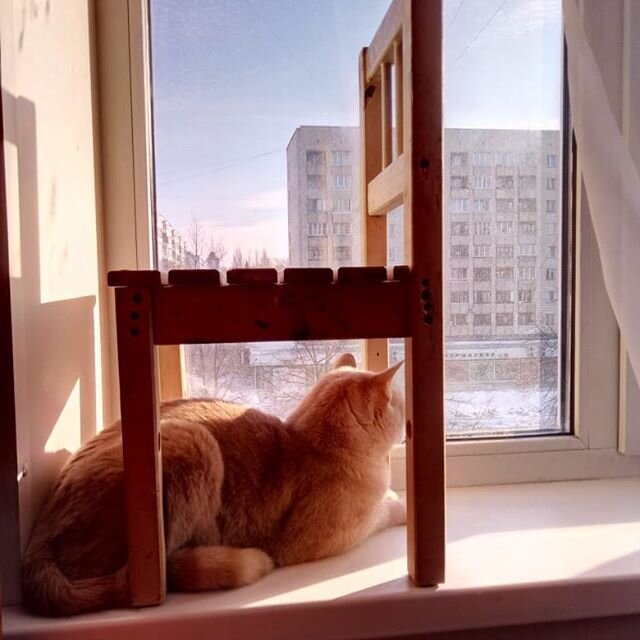 Не создаем себе границ